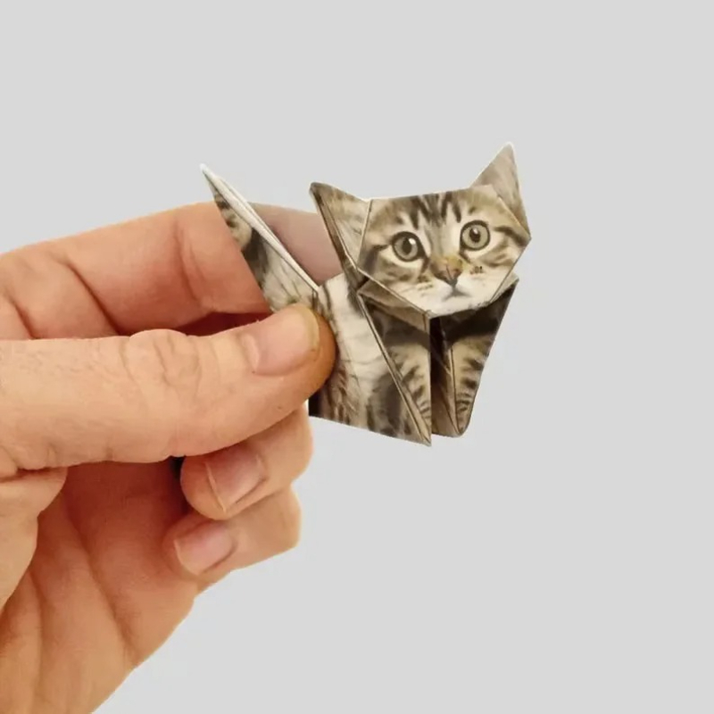 Kit Créatif DIY de Pliage d'An - Art Craft Cat avis et prix