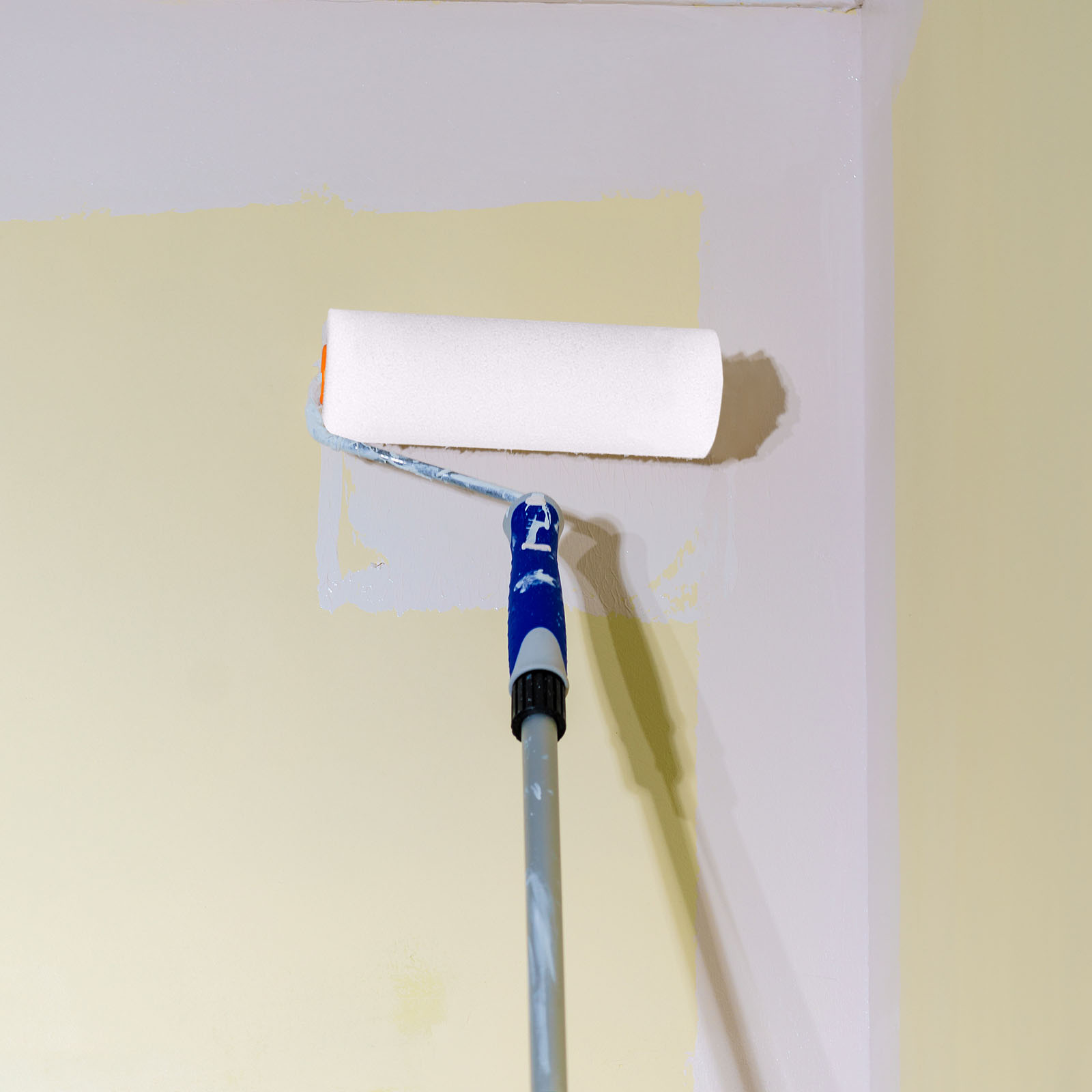 Lot de 10 rouleaux de peinture - Art Craft Door avis et prix